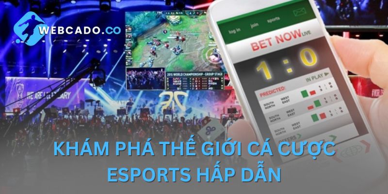 Cá Cược Esport – Trải Nghiệm Sân Chơi Uy Tín Tại Webcado